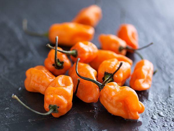 ORANGE RED MIXED CONICAL PEPPERS